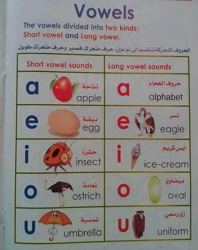 تحميل القاموس المصور انجليزي عربي فرنسي pdf